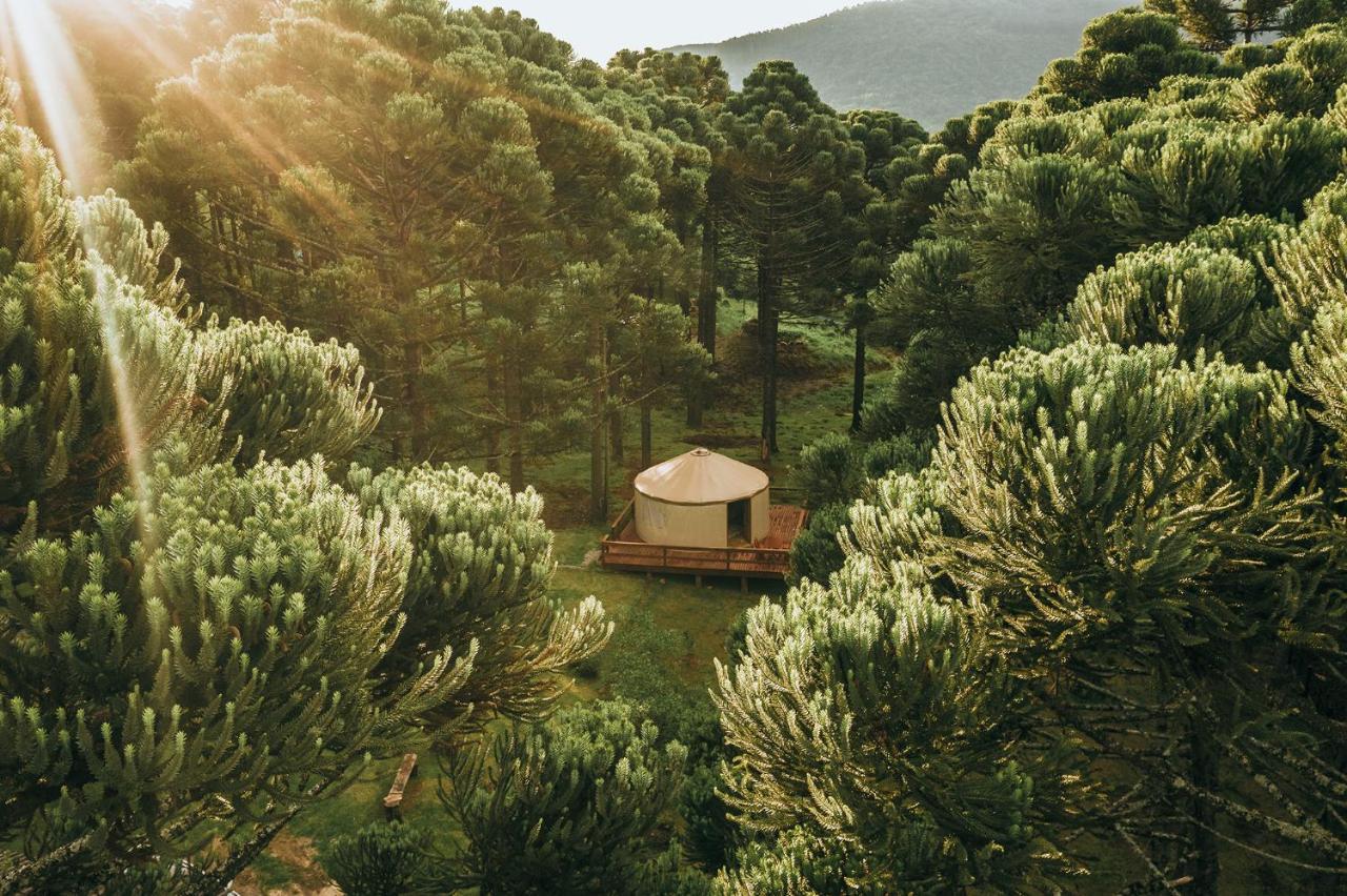 קנלה Estancia Las Araucarias מראה חיצוני תמונה